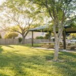 Unlock Your Backyard: The Micro-Adventure Guide