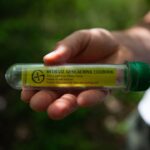 Geocaching Your Way Around the World