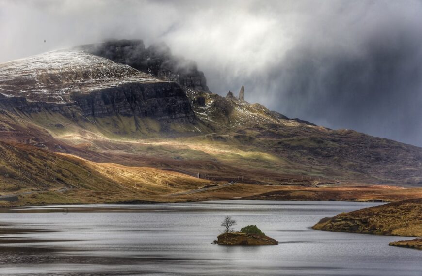 Wild Food & Wonder: A Forager’s Feast in the Scottish Highlands
